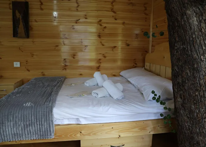 Tree House & Camping Goris