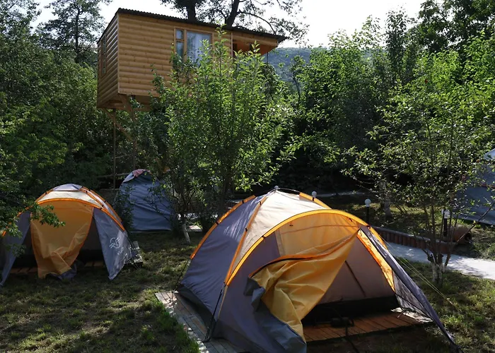 Tree House & Camping Goris