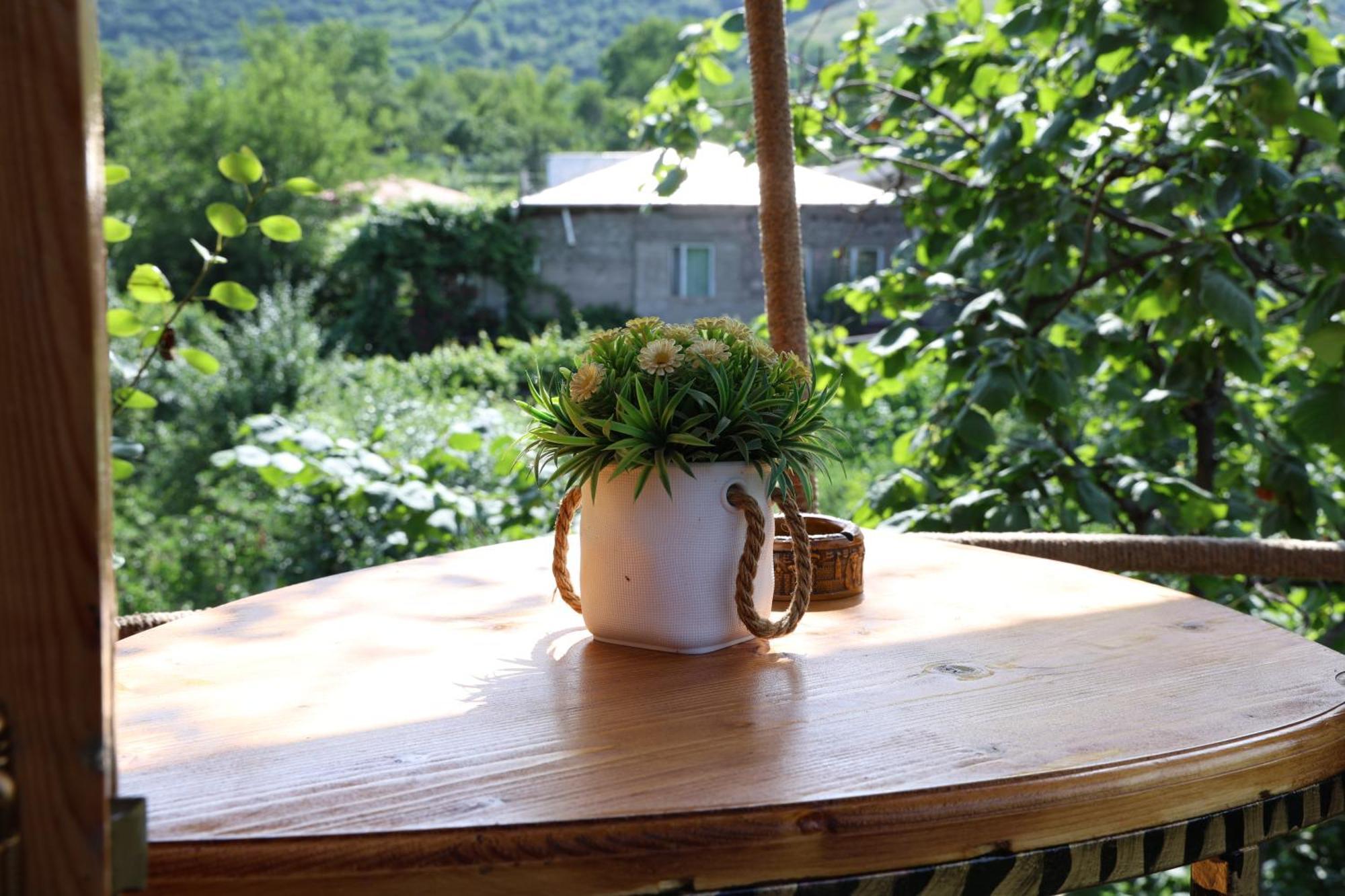 مكان تخييم Tree House & غوريس