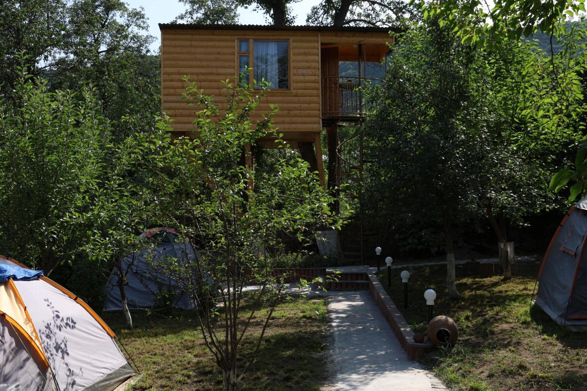 Tree House & مكان تخييم