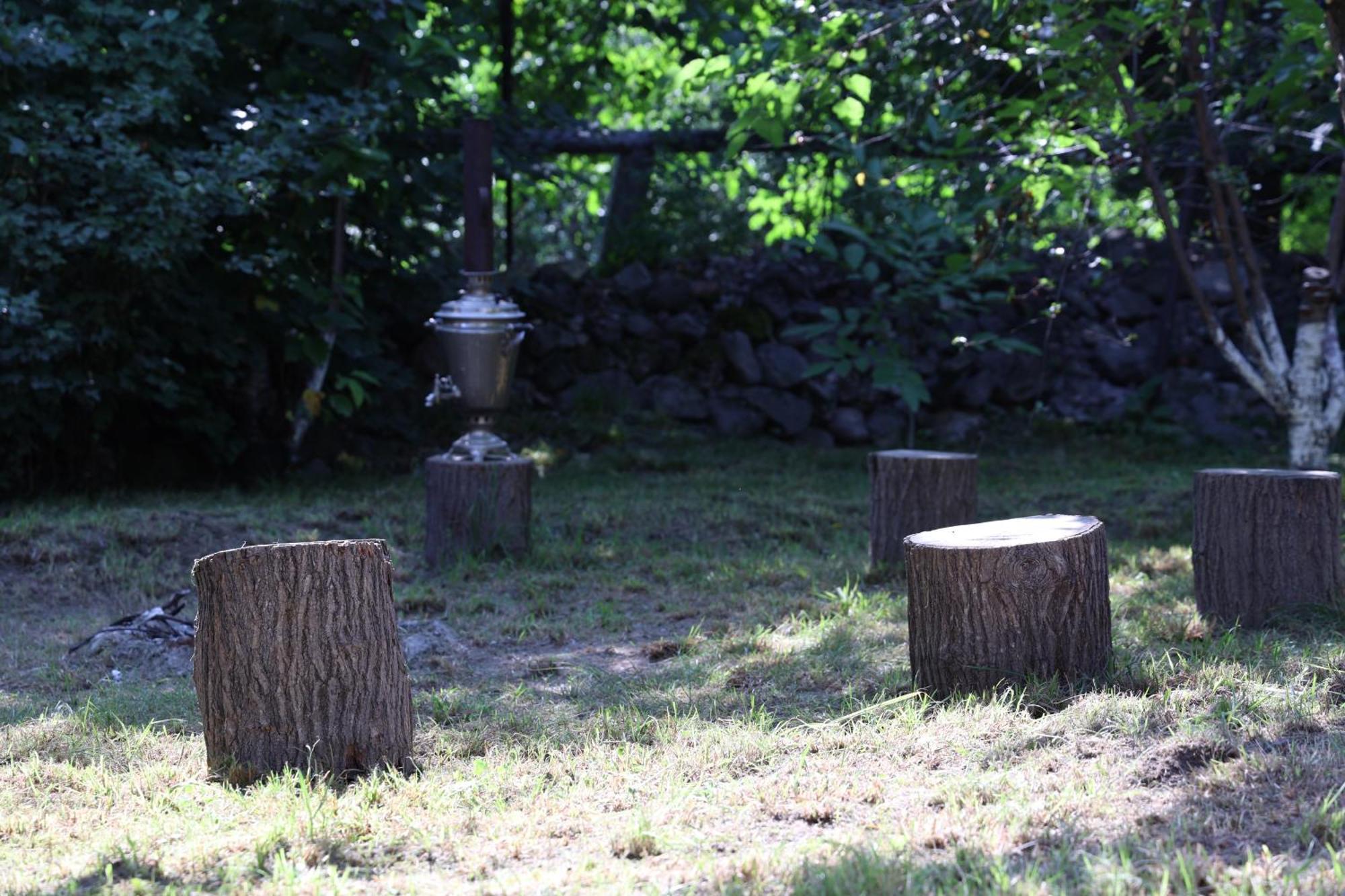 Tree House & غوريس